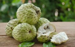 Why Eat a Single Custard Apple Each Day? Recognise Amazing Benefits