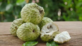 Why Eat a Single Custard Apple Each Day? Recognise Amazing Benefits