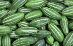 Important Reasons for Including Pointed Gourd in Your Daily Diet for Improved Nutrition and Health