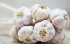 5 Important Reasons for Including Garlic in Your Winter Meals