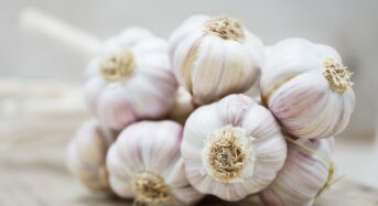 5 Important Reasons for Including Garlic in Your Winter Meals