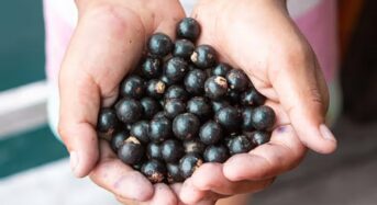 7 Unknown Health Benefits of Eating Acai Berries