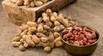 5 Smart Ways to Use Peanut Dishes to Improve Your Winter Nutrition