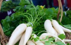 Why Should Radish Leaves Not Be Thrown Out? Know Health Benefits Here