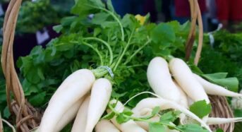 Why Should Radish Leaves Not Be Thrown Out? Know Health Benefits Here