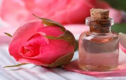 5 Simple Methods for Using Rose Water to Promote Rapid Hair Growth