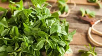 5 Ways Methi Can Help Avoid Clogged Arteries: Fenugreek Leaves Juice for High Cholesterol Levels