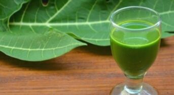 10 Health Benefits of Drinking Green Papaya Juice Every Morning