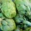 Boost Liver Health and Reduce Weight with Artichokes:  Key Benefits Inside