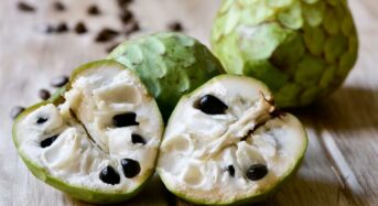 6 Powerful Reasons for Custard Apples as the Best Winter Superfood