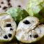 6 Powerful Reasons for Custard Apples as the Best Winter Superfood