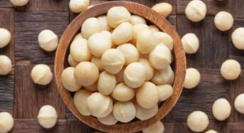 Unlock the Benefits of Macadamia Nuts for the Health of Your Heart, Brain, and Skin