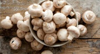 5 Reasons for Including Mushrooms in Your Winter Meals