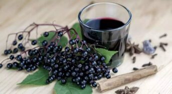 Weight Reduction with Elderberry Juice: How this Age-old Superfood Can Accelerate Fat Burning