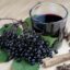 Weight Reduction with Elderberry Juice: How this Age-old Superfood Can Accelerate Fat Burning