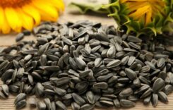 4 Health Benefits Of Consuming A Spoon Of Sunflower Seeds Every Day