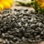 4 Health Benefits Of Consuming A Spoon Of Sunflower Seeds Every Day