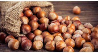 Hazelnuts: Why they’re the Superfood you Need for Delicious Spreads and Nutritious Salads