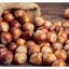 Hazelnuts: Why they’re the Superfood you Need for Delicious Spreads and Nutritious Salads