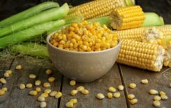 4 Benefits of Including Boiled Sweet Corn in Your Morning Routine