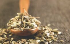 Medicinal Benefits of Cumin Seeds Tea: 7 Health Benefits of Taking Jeera Chai Every Morning