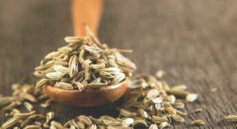 Medicinal Benefits of Cumin Seeds Tea: 7 Health Benefits of Taking Jeera Chai Every Morning