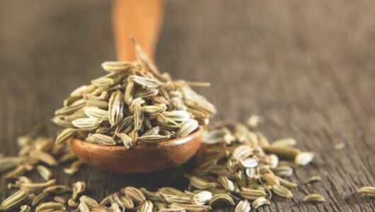 Medicinal Benefits of Cumin Seeds Tea: 7 Health Benefits of Taking Jeera Chai Every Morning